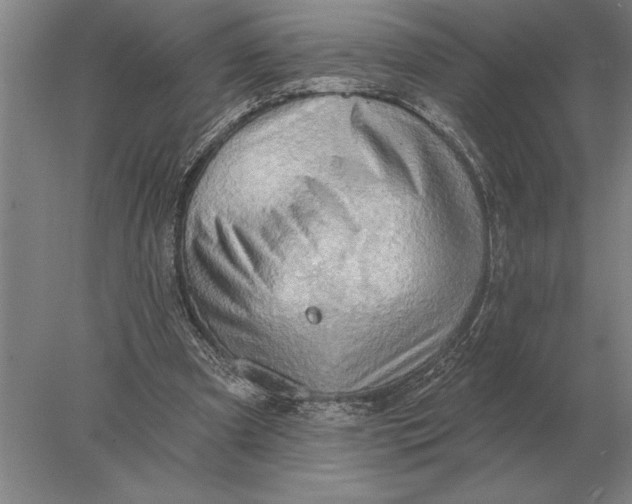 X0000078010297200611171853