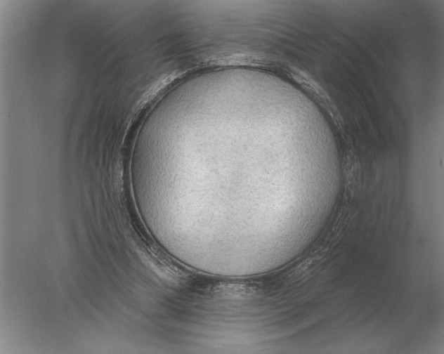X0000078010298200611171853