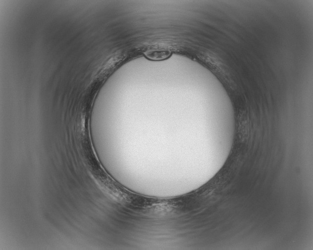 X0000078010310200611171853