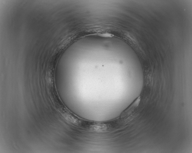 X0000078010317200611171853