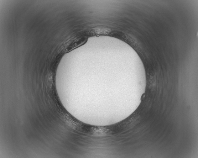 X0000078010321200611171853