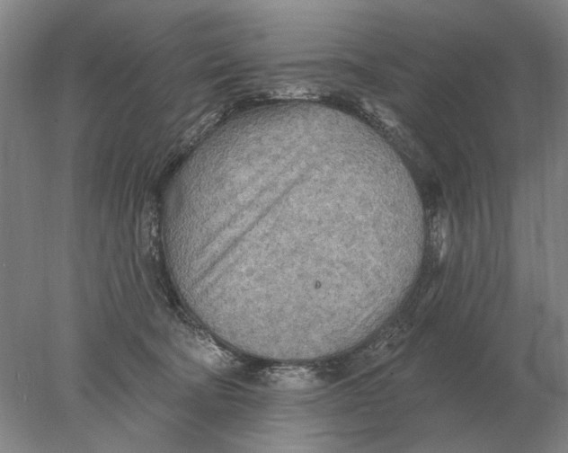 X0000078010322200611171853