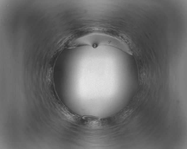 X0000078010325200611171853