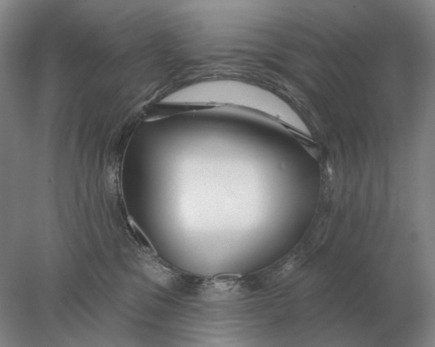 X0000078010329200611171853