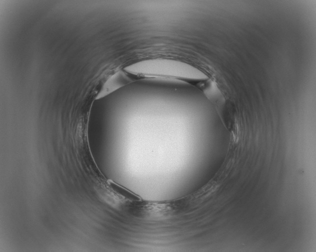 X0000078010333200611171853
