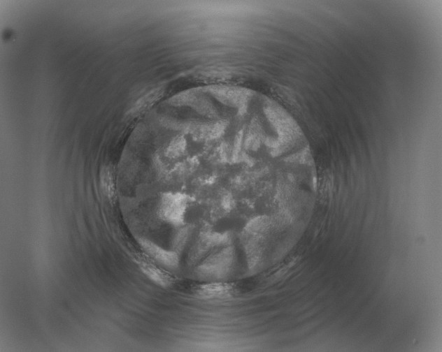 X0000078010335200611171853