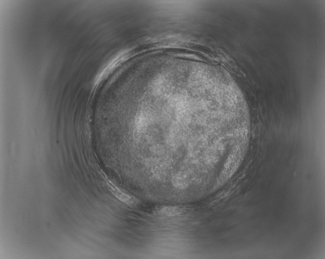 X0000078010341200611171852