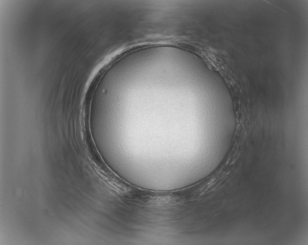 X0000078010342200611171852