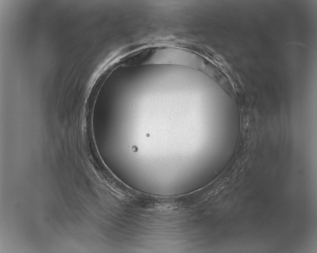 X0000078010344200611171852