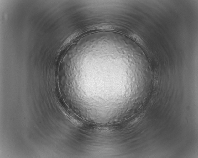 X0000078010349200611171852