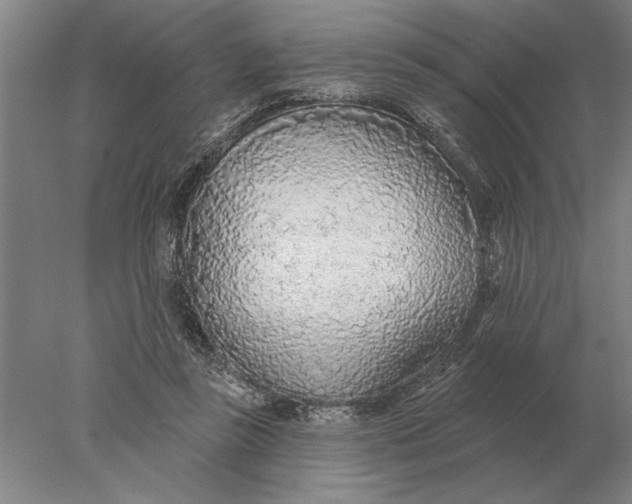 X0000078010355200611171852