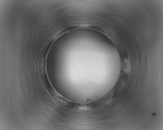 X0000078010360200611171852