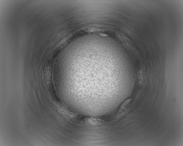 X0000078010372200611171852