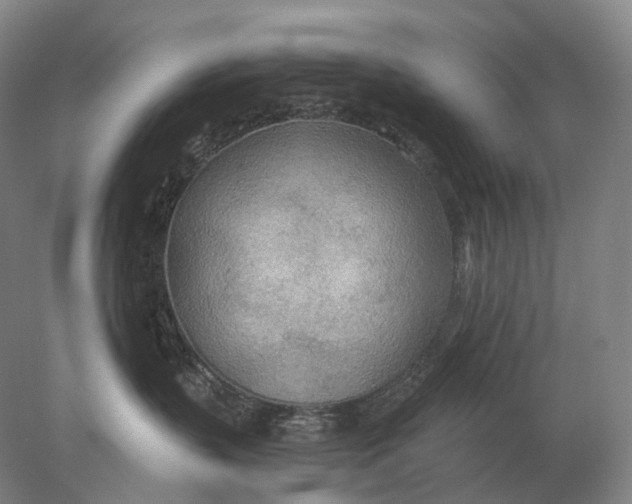 X0000078010383200611171853