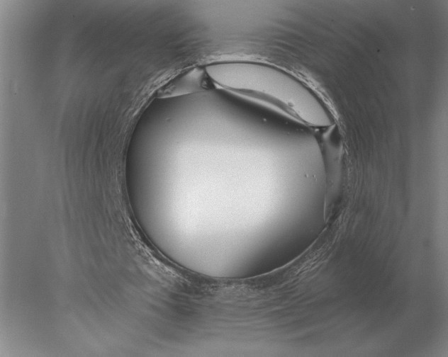 X0000078010385200611171852