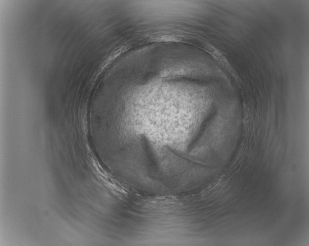 X0000078010386200611171852