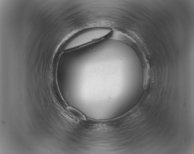 X0000078010392200611171852