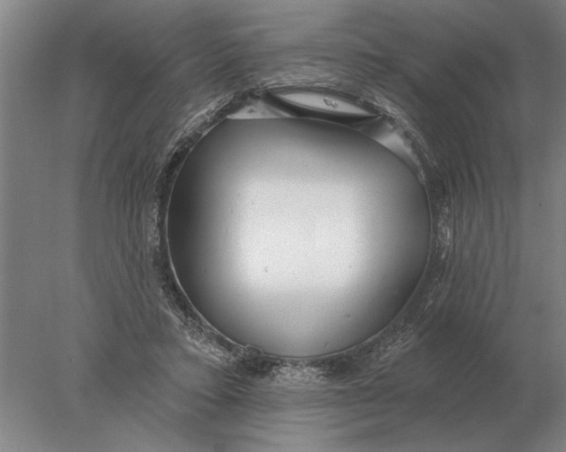X0000078010403200611171851