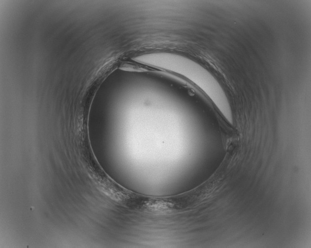 X0000078010407200611171851