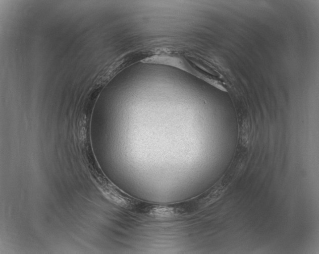 X0000078010413200611171851