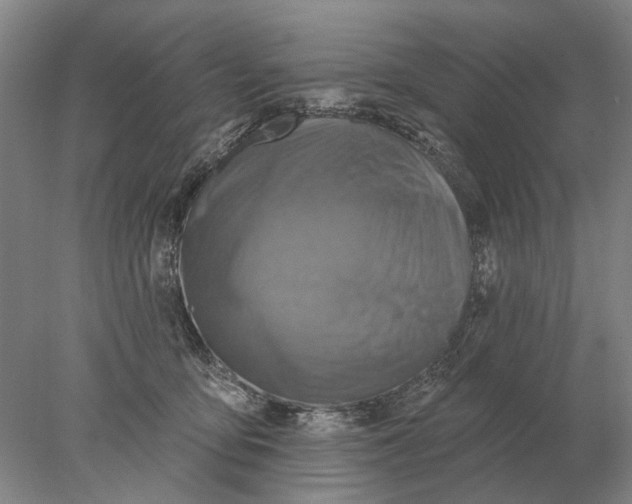 X0000078010419200611171851
