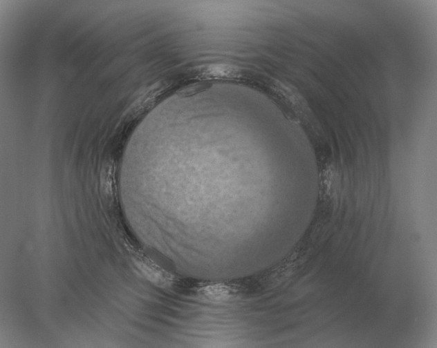 X0000078010423200611171851