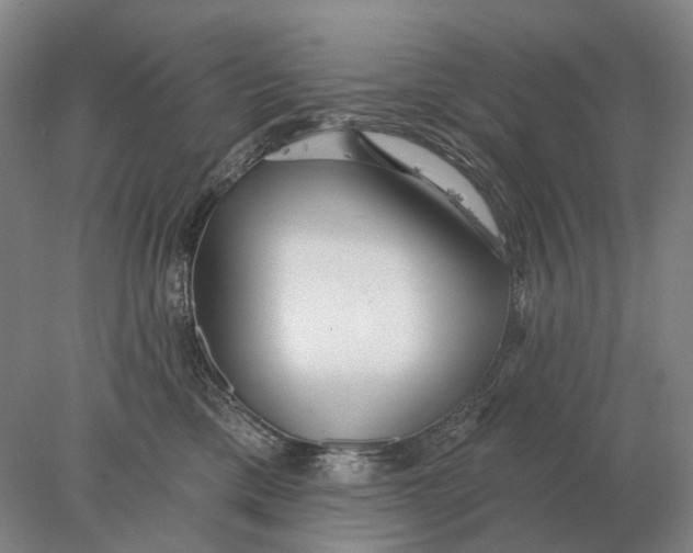 X0000078010425200611171851