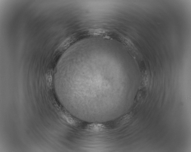 X0000078010427200611171851