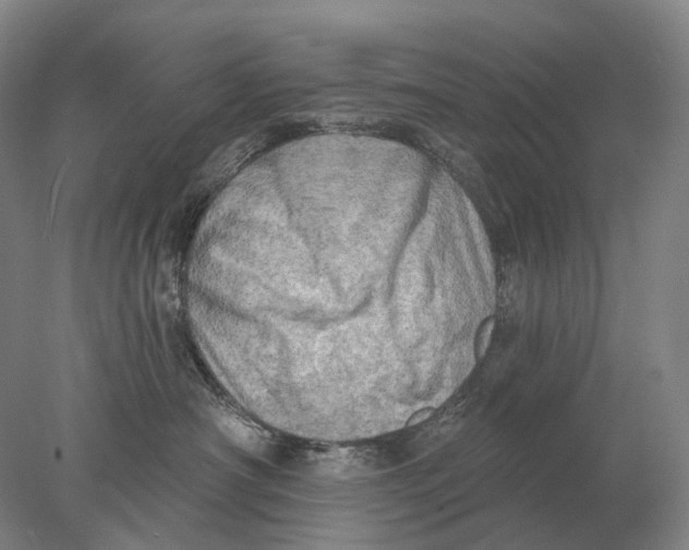 X0000078010430200611171851