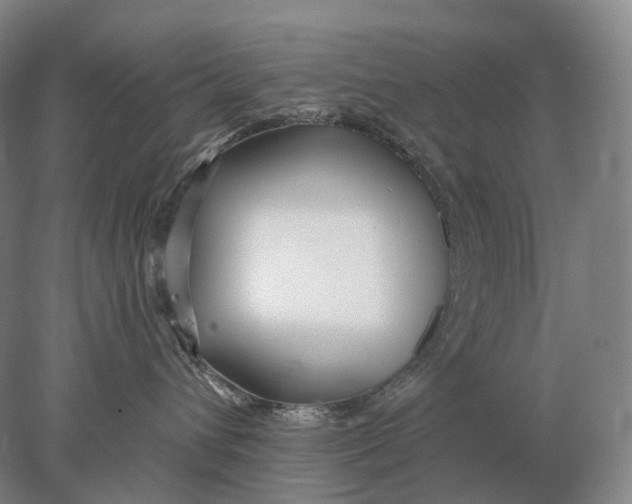 X0000078010432200611171851