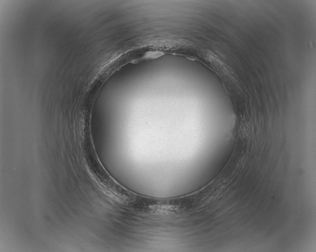 X0000078010448200611171850