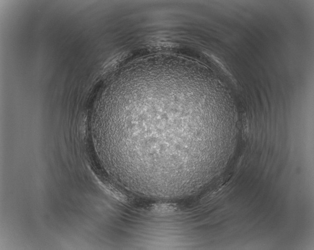 X0000078010451200611171850
