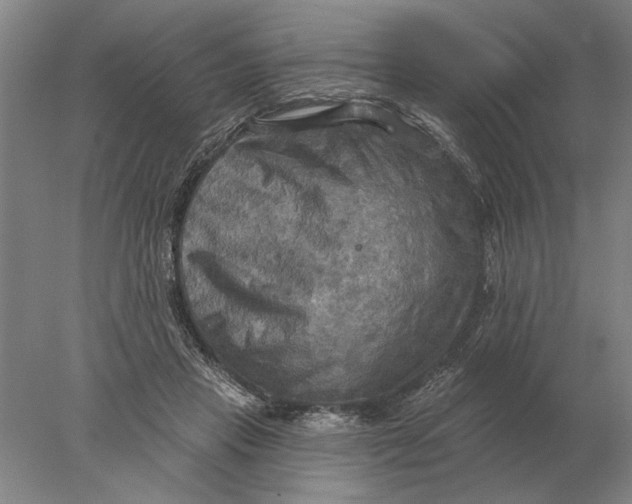 X0000078010453200611171850