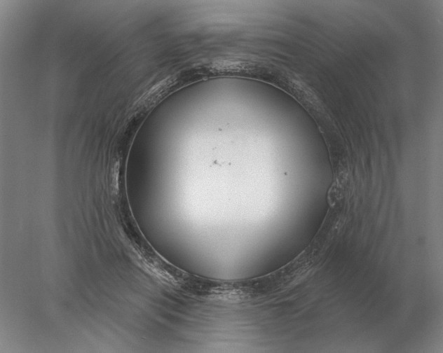 X0000078010454200611171851