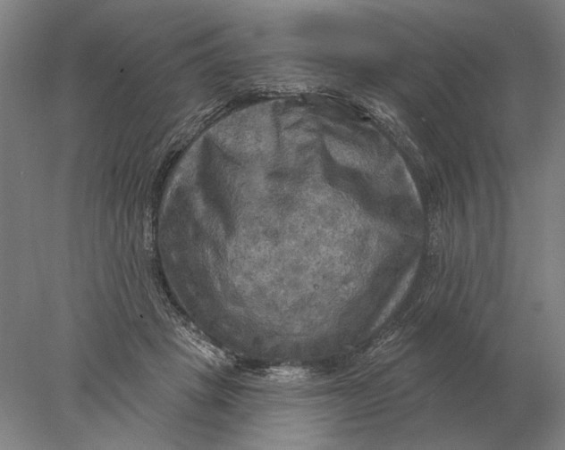 X0000078010457200611171851
