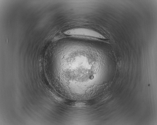 X0000078010462200611171851