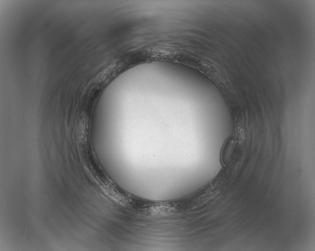 X0000078010468200611171851