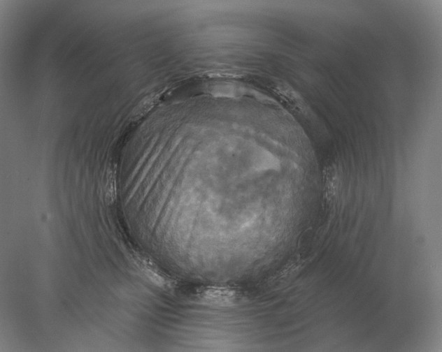 X0000078010471200611171851