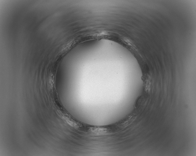 X0000078010476200611171851
