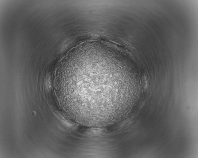 X0000078010479200611171851