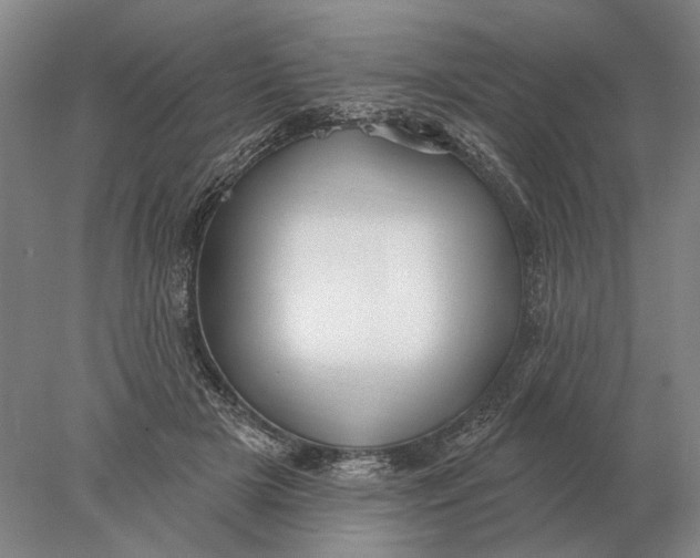 X0000078010505200611171850