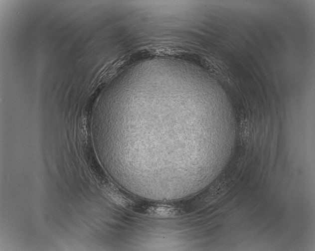 X0000078010506200611171850