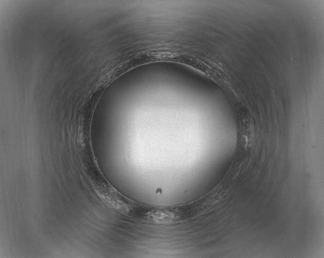 X0000078010512200611171850