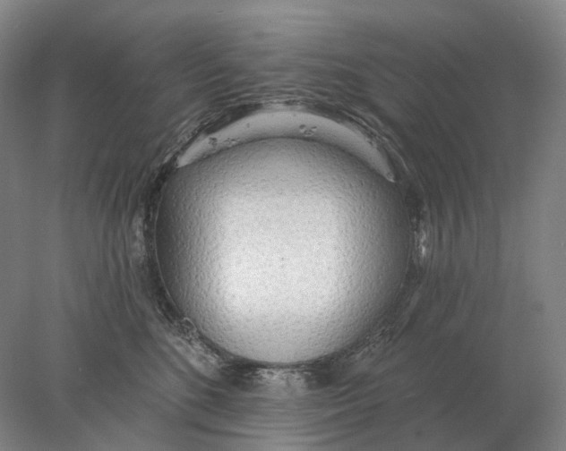 X0000078010520200611171849