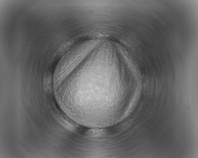 X0000078010526200611171849