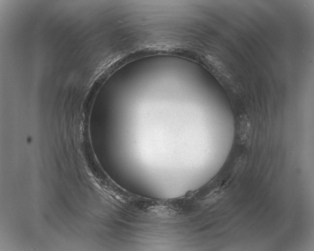 X0000078010544200611171849