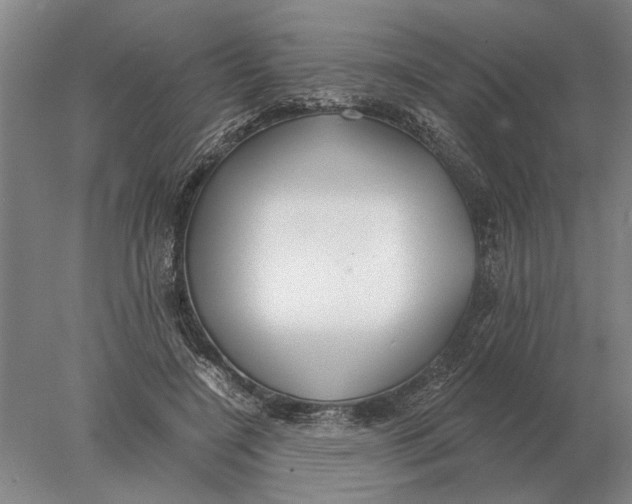 X0000078010548200611171849