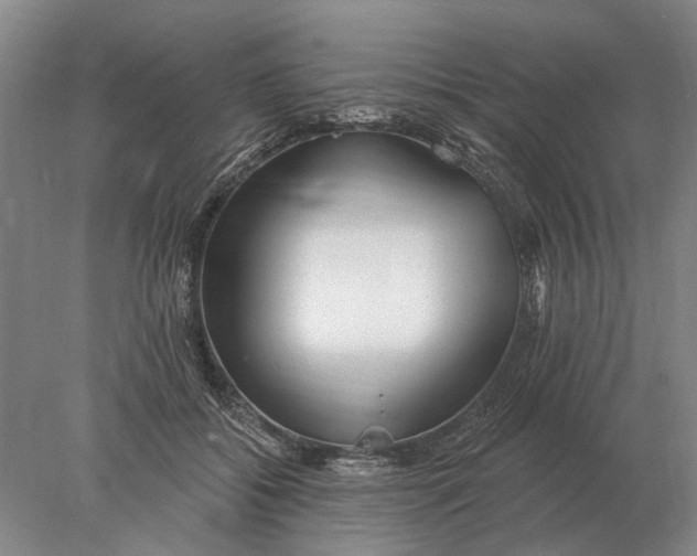 X0000078010556200611171849