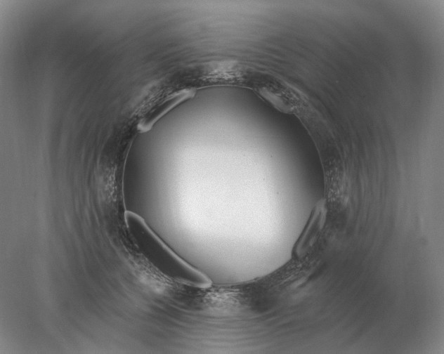 X0000078010560200611171849