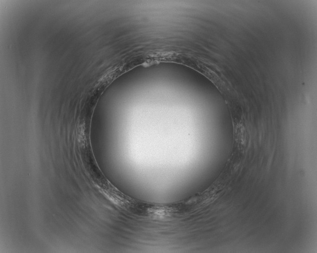 X0000078010564200611171849